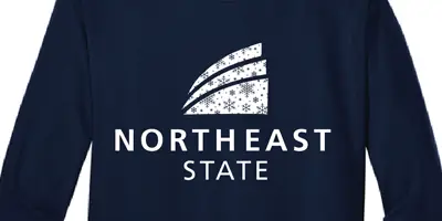 holiday shirt snow design
