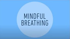 Mindful Breathing - Northeast State Calm Room