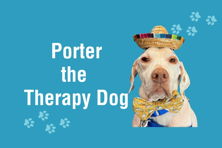Porter the Therapy Dog graphic